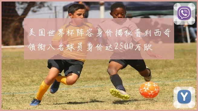 美国世界杯阵容身价揭秘普利西奇领衔八名球员身价达2500万欧